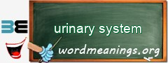 WordMeaning blackboard for urinary system